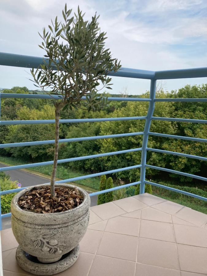 Libellula Apartman Heviz Ngoại thất bức ảnh